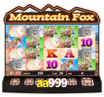 aa999.com